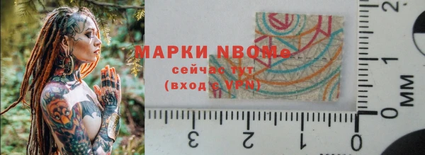 гашик Балахна
