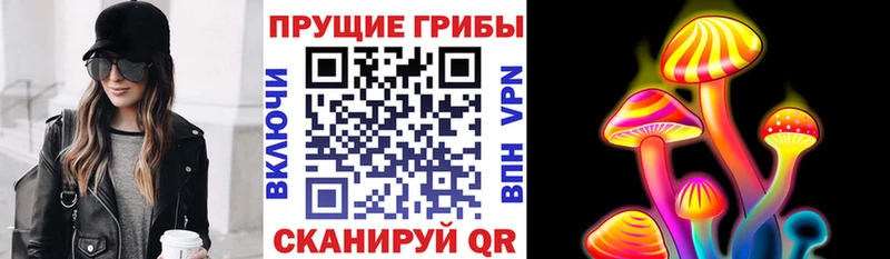 наркотики  Моздок  Псилоцибиновые грибы мухоморы 